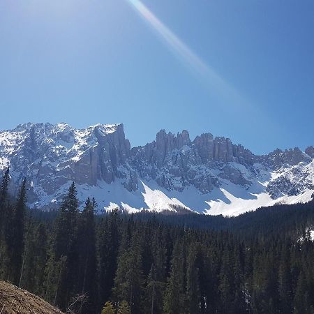 Appartamenti Panoramici Direttamente Sulle Piste Da Sci - Golf Hotel Carezza - Nova Levante Bozen Exterior foto